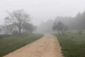 l Ruhe Landschaft mit Straße im neblig grau Winter Tag foto