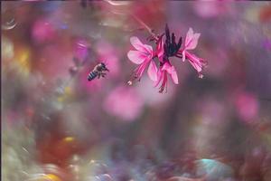 wenig zart Herbst Blumen im das Garten auf ein Hintergrund mit Bokeh foto