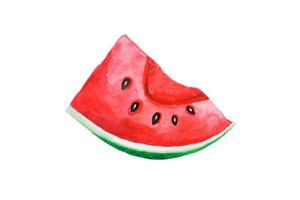 frisch Wassermelone geschnitten einer Stück Aquarell Hand Zeichnung und Gemälde Illustration isoliert auf Weiß Papier Hintergrund. foto