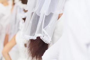 Braut- Schleier auf Braut Haar im Hochzeit mit schön Haar Stil. foto