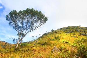 schön Landschaft von felsig Kalkstein Berg und Grün Wald mit blau Himmel beim Chiang doa National Park im chiangmai, Thailand foto