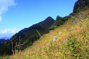 schön Gras Blumen Landschaft von felsig Kalkstein Berg und Grün Wald mit blau Himmel beim Chiang doa National Park im chiangmai, Thailand foto