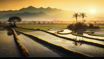 das Schönheit von das Morgen Panorama mit Sonnenaufgang und Reis Felder. Reis Feld im Landschaft. schön Gold Farbe Sonnenuntergang beim Reis Feld. generativ ai. foto