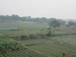 natürlich Foto im Bangladesch