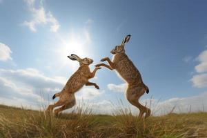 Frühling Hasen Schlacht. generieren ai foto