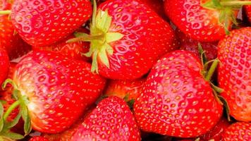 Gruppe von rot Erdbeeren, oben Sicht, schließen oben foto