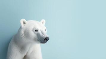 Banner mit Polar- Bär auf ein Blau Hintergrund. generativ ai. foto