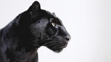 Banner mit ein schwarz Panther auf ein Weiß Hintergrund. generativ ai. foto