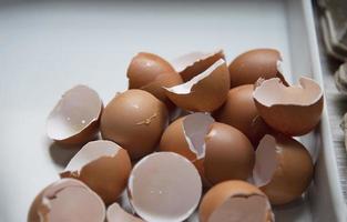 braun gebrochen öffnen fragil frisch organisch Ei Hülse, Hälfte Absturz Pleite Eier Henne Produkt, Anfang Geburt Freiheit oder Beschädigung zerstören Fraktur brechen Teil Metapher foto