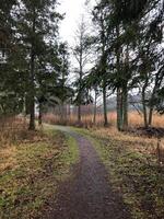 friedlich und schön Landschaft draussen foto