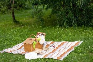 Picknick Korb, gemütlich Picknick im Natur, im das Park, Sommer- Picknick im das Landschaft foto