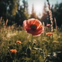 polly Blume im das wild fesselnd Fotografie von ein schön und Selten blühen foto