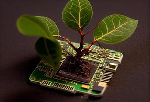 Baum Setzling Das Pleite aus von Computer Chip , Grün Baum sprießen auf ein Computer chip.generieren ai foto