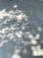 Blätter Schatten Hintergrund auf Beton Mauer Textur, Blätter Baum Geäst Schatten foto