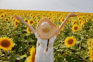 Frau halten ihr Hände über ihr Kopf Sonnenblume Feld Natur Landschaft Freiheit foto