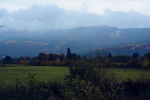 Berge Grün Gras Berge Nebel Reise Natur foto