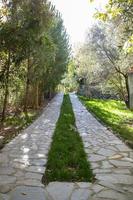 Garten Pfad mit Grün Gras und Bäume auf ein sonnig Tag. Stein Gehweg im das Park mit Bäume im das Hintergrund. Stein Gehweg im das Garten von ein Land Haus. foto