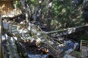 hölzern Treppe im das Wald, Landschaft wie ein Hintergrund. hölzern Treppe zu das Wasserfall im das Wald. foto