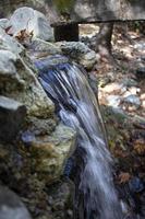 Wasserfall im das Herbst Wald mit gefallen Blätter auf das Felsen. klein Wasserfall im das Wald. Berg Landschaft. foto