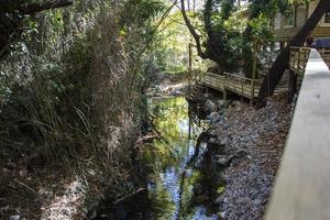 hölzern Treppe im das Wald, Landschaft wie ein Hintergrund. hölzern Treppe zu das Wasserfall im das Wald. foto