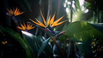 Vogel von Paradies Blume im das Wald. ai generiert. foto