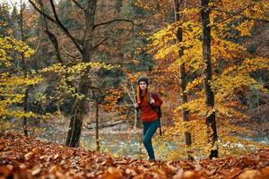 Frau mit ein Rucksack Spaziergänge im das Herbst Wald Gelb Blätter Natur foto