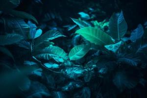 tropisch Blatt Wald glühen im das dunkel Hintergrund mit Kopieren Raum. hoch Kontrast Konzept foto