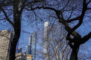 zentral Park Bäume Geäst Neu York Manhattan Wolkenkratzer Aussicht von das Straße zu das oben von das Gebäude auf sonnig klar Tag foto