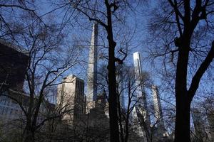 zentral Park Bäume Geäst Neu York Manhattan Wolkenkratzer Aussicht von das Straße zu das oben von das Gebäude auf sonnig klar Tag foto