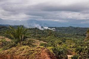 Palme Öl Quetschen industriell Seite? ˅ im Betrieb im ein neu gepflanzt Palme Öl Plantage Indonesien. foto