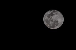 Vollmond in der Nacht foto