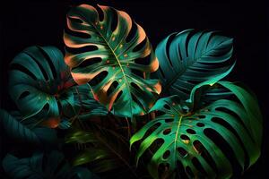 generativ ai Illustration von dunkel Grün tropisch Blätter bunt Neon- Licht, Hintergrundbeleuchtung, Blätter Komposition, Pflanze Hintergrund, manstera, Palme Blätter foto