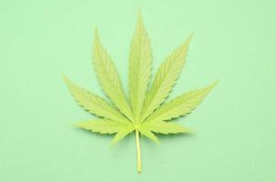 ein Marihuana Blatt foto