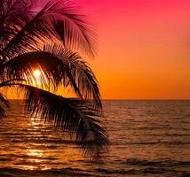 schön Sonnenuntergang tropisch Strand mit Palme Baum auf Himmel zum Reise und Ferien foto