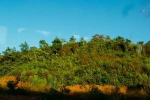 szenisch Wald Landschaft foto