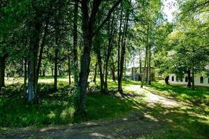 szenisch Wald Landschaft foto