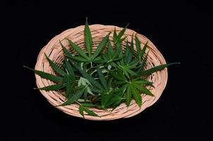 Marihuana Blätter auf ein Teller foto