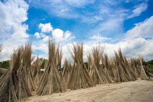 ein sonnig Tag, Blau Weiß Grün und braun Farbe Schicht im schön Bangladesch Jute Trocknen Szene beim madhabdi, Narsingdi, Bangladesch. foto