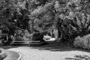 Sommer- Landschaft auf ein sonnig Tag Park Garten Warschau Polen Weg, Baum foto