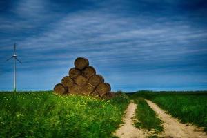 malerisch Frühling Landschaft mit Blau Himmel und Grün Felder foto