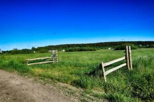 malerisch Frühling Landschaft mit Blau Himmel und Grün Felder foto