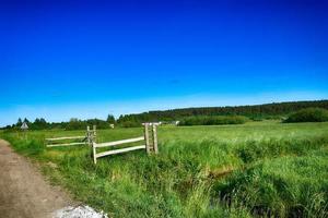 malerisch Frühling Landschaft mit Blau Himmel und Grün Felder foto