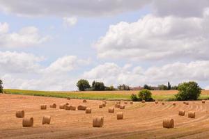 szenisch ländlich Landschaft foto