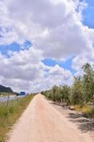 Straße auf dem Land foto