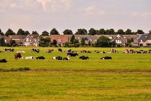 szenisch ländlich Landschaft foto