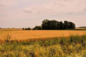 szenisch ländlich Landschaft foto