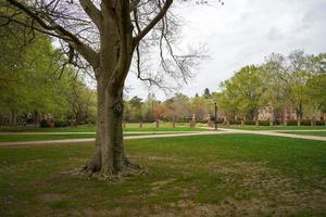 Wilhelm und Maria Universität gechartert im 1693 im williamsburg. foto