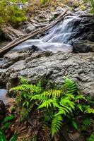 khlong nam lai Wasserfall, schön Wasserfälle im klong lan National Park von Thailand foto