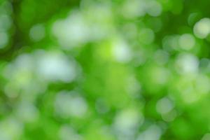 natürlicher grüner bokeh abstrakter hintergrund, unscharf strukturiert foto