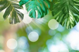 Unscharfes grünes Blattmuster für Sommer- oder Frühlingssaisonkonzept, Blatt mit bokeh strukturiertem Hintergrund foto